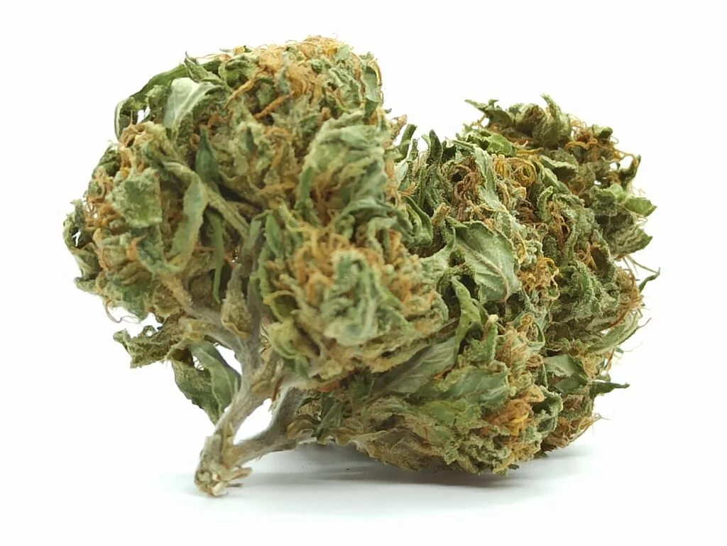 California Orange Frozen